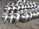 Carbon Steel Flange